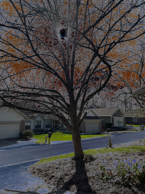 Front Yard Two Byte Frame 1