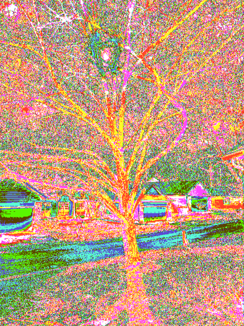 Front Yard Two Byte Frame 2