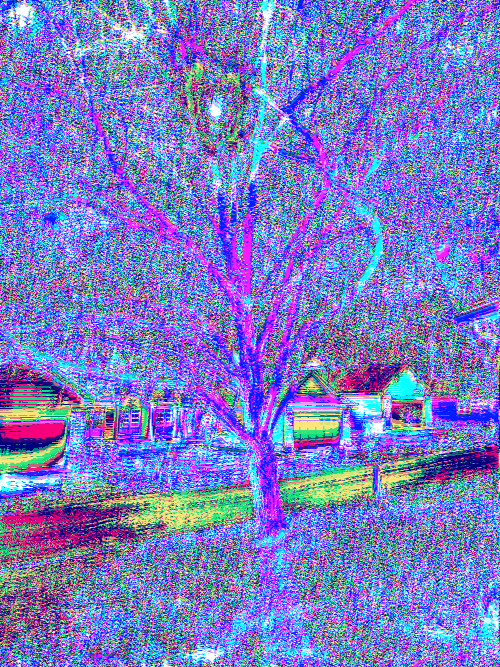 Front Yard Two Byte Frame 4