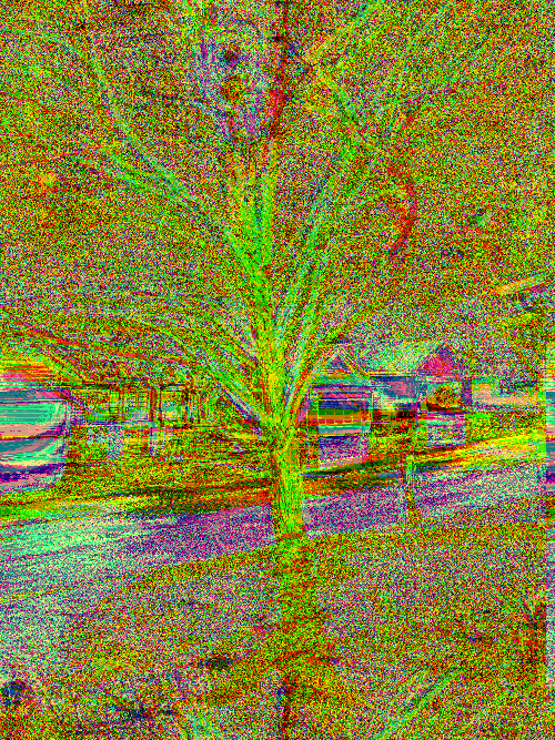 Front Yard Two Byte Frame 7